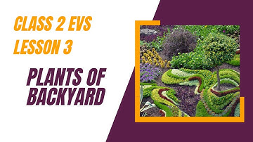 Class 2 EVS Lesson 3 – Plants of Backyard | 2nd Standard Environmental Studies