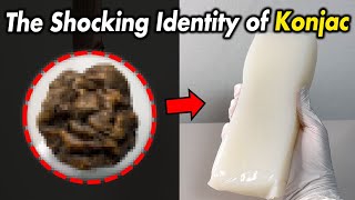 Warning Why Eating Konjac Makes You Feel Full?