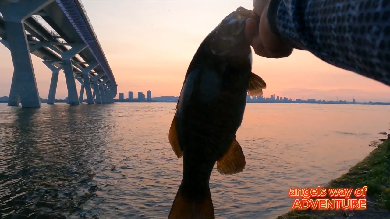 Bass Fishing under Champlain bridge