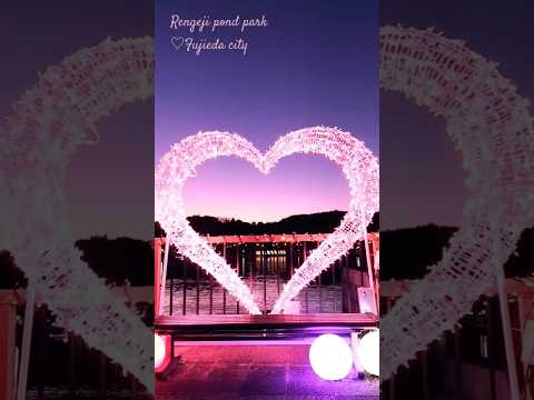 2025年冬🌟【藤枝市】花回廊イルミネーションが2月16日まで蓮寺池公園で開催中!💝時間/17時〜21時🪷#蓮華寺池公園 #藤枝市#静岡県#イルミネーション#竹灯籠#デートスポット#エメ#カタオモイ