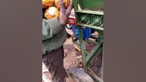 cocoa pods breaking and seeds separating machine