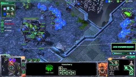 Defending Against Void Rays (ZvP) - Starcraft 2 Zerg Tutorial (#1)