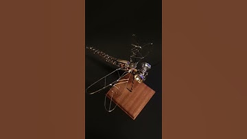 Dragon fly automata