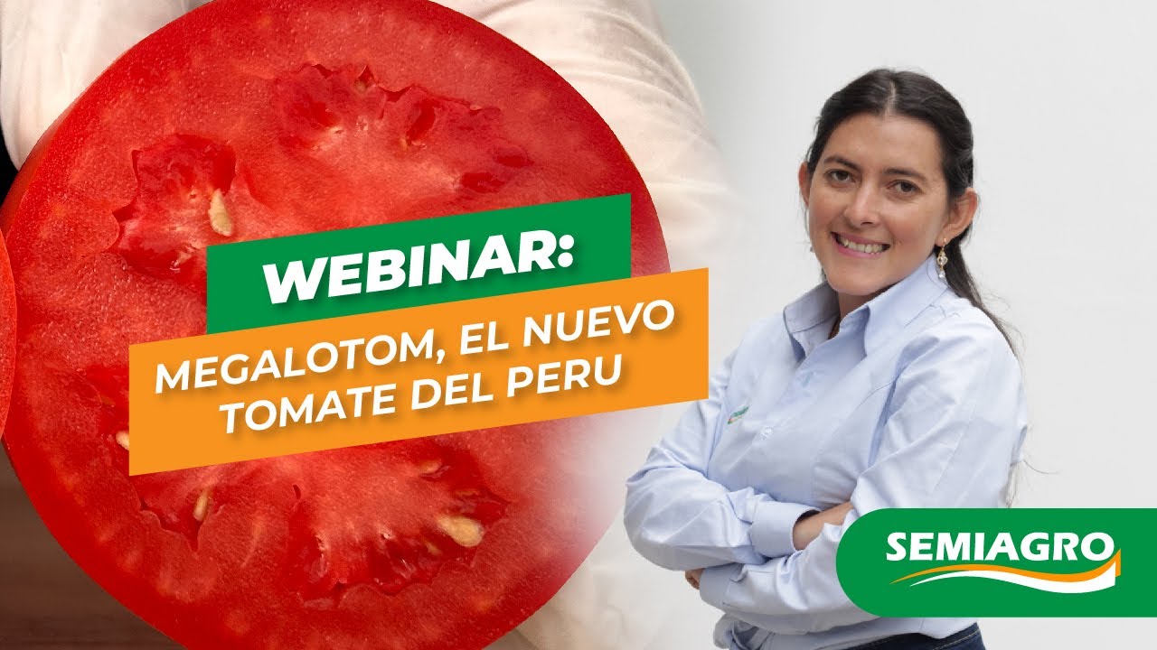 WEBINAR: Megalotom, el nuevo tomate del Perú.