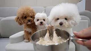 A cute dog who wants to eat chicken soup. by 순덕순덕 16,688 views 9 months ago 4 minutes