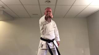 Punching (Tsuki Waza) Moving Basics #4