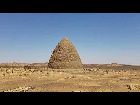 Video: Dongola Hesteavl Allergivenlig, Sundhed Og Levetid