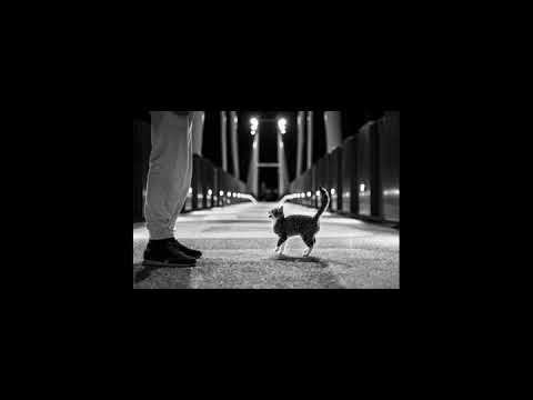 Format B, Kokiri - Chunky Tool (Samuele Sartini & Nicola Zucchi MashUp)