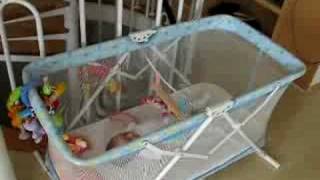 Veronika 2008. 09. 08.