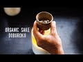 10 DAYS Home brewing SAKE (doburoku)