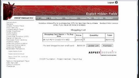 Parameter Tampering Exploit Hidden Fields