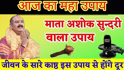 माता अशोक सुन्दरी वाला शहद का उपाय। Shri Pradeep Mishra Ji Upay ll