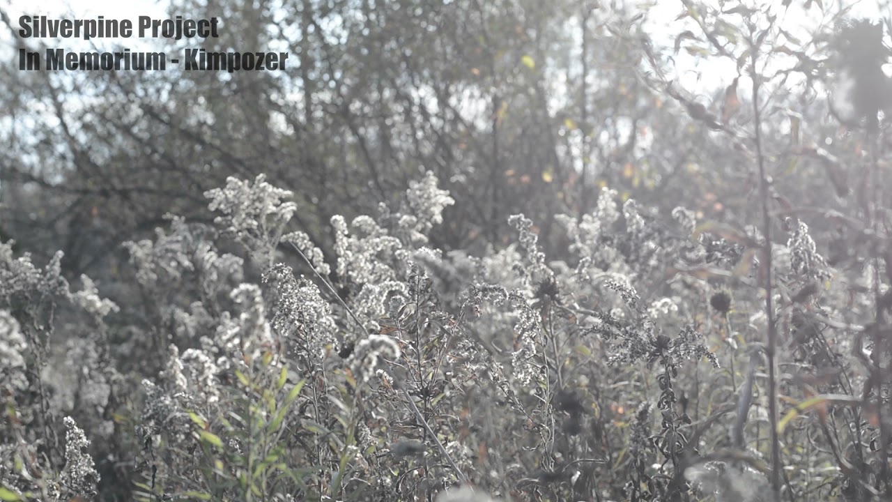 In Memorium - Vintage Music box