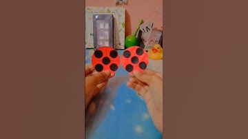 DIY Ladybug