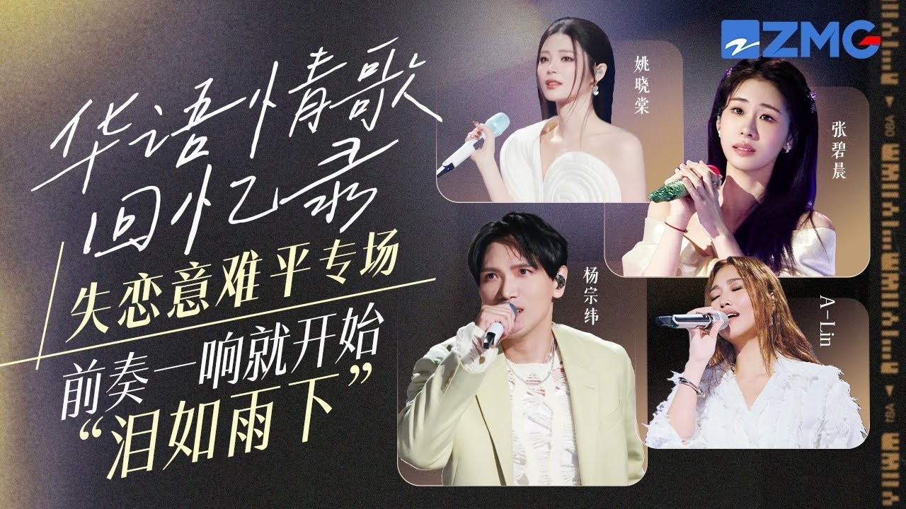 橫跨30年！1995-2025華語失戀情歌大串燒！90年代經典歌曲到00年代網絡熱歌一網打盡！前奏一響就開始「淚如雨下」 #林俊傑 #楊宗緯  #張碧晨 #alin #姚曉棠 主題特輯20260327
