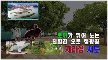 코로나를 피해 간 자라섬 오토 캠핑장1-토끼가 뛰어 노는 섬 서도 Jara Island Auto Camping Site1-Seodo Island, where rabbits play