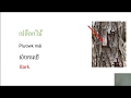 រៀនភាសាថៃ STUDY THAI part 1​​ เรียนภาศาไทท บที่๑