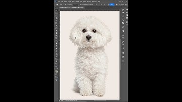 Easily Remove Hair & Fur Background with One Click in Photoshop Beta 2025  #mithona #photoshop