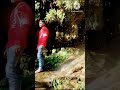 Dil mein mere #shorts #youtubeshort #youtubevideo #trendingshorts #ytshortsindia #rabiyaofficial231