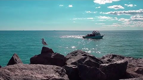 سورة الجمعة كاملة | جزء قد سمع | احمد اسامة Surah Al-Jumu'ah by Ahmed Osama