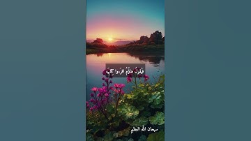 الشيخ محمد عبد الوهاب الطنطاوى --نوادر روعه رحمه الله #تلاوات