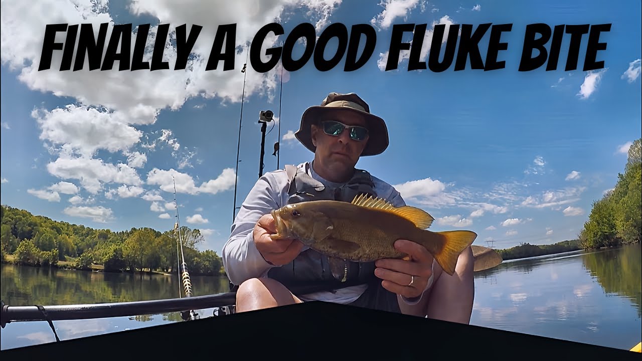 finally-a-good-fluke-bite-bigbaitposse-kayak-bass-fishing-youtube
