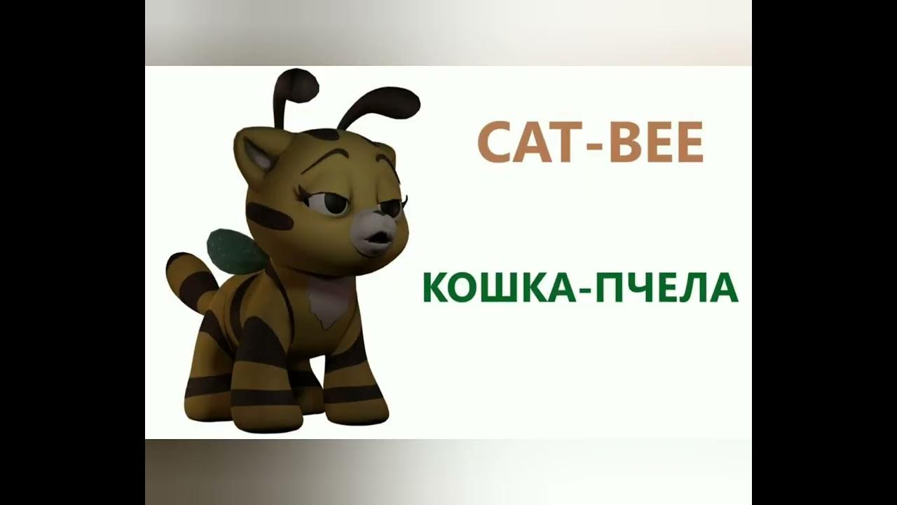 Как выглядит кот пчела