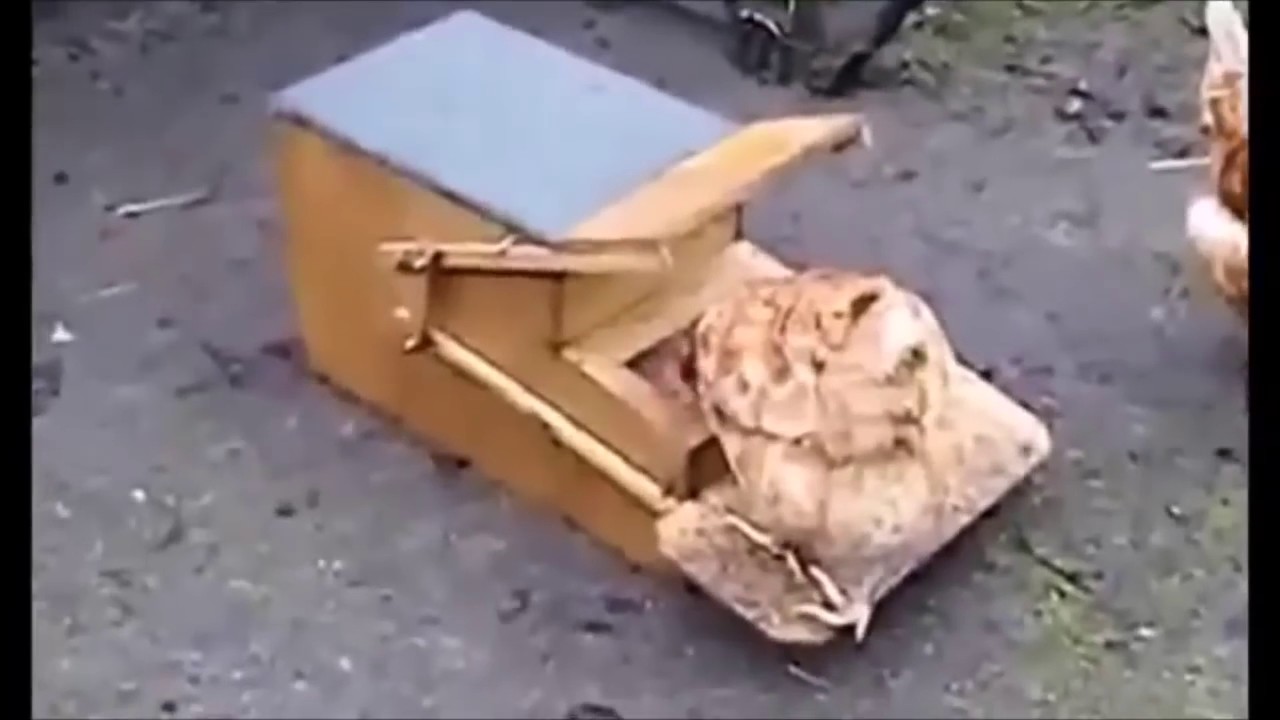 Çılgın ve Şaşırtıcı Ev Yapımı İcatlar 2016 HD 13 YouTube