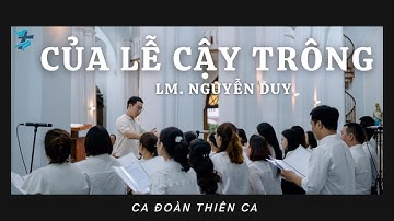 CỦA LỄ CẬY TRÔNG - Lm. Nguyễn Duy | Ca đoàn Thiên Ca | Thánh lễ cầu cho linh hồn cô Annê