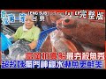 [全新] 台東【「最夯殺魚秀」富岡拍賣船漁獲大豐收！魚市超&quot;殺&quot;姨「獨門神秘水」淋魚更鮮美/夜登三仙台 劇毒&quot;海蛇&quot;現蹤！人蛇集團齊聚一室 遛蛇揹蛇樣樣來】│2023.11.19│《台灣第一等》完整版