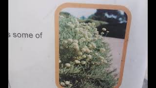 Level Best Horticulture (1)