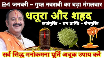 24 जनवरी गुप्त नवरात्रि बड़ा मंगलवार शहद और धतूरे से मनोकामना पूर्ति का उपाय करें- Pradeep ji mishra