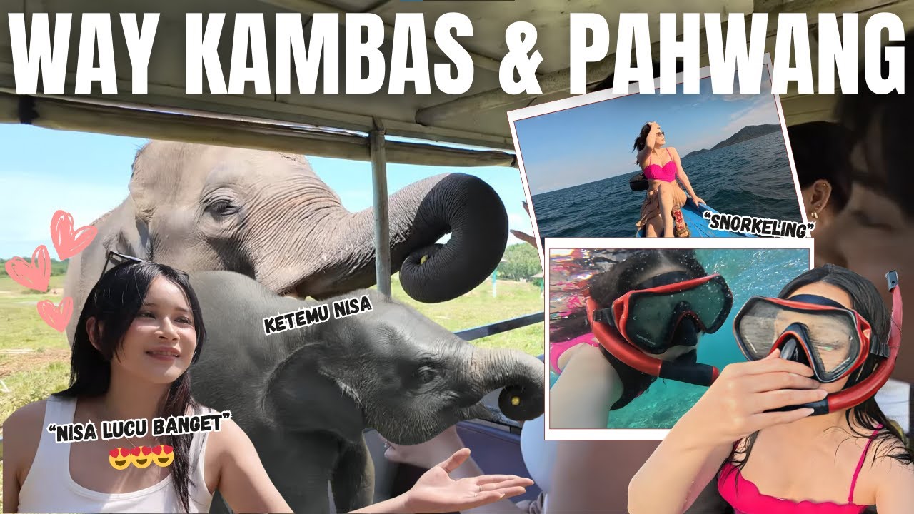 MEET & GREET SAMA NISA ARTIS WAYKAMBAS! Eps.66 #vlog 