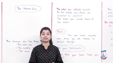 Class 3 - Science - Chapter 1 - Lecture 3 - 1.3 Ears - Allied Schools