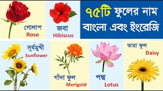 75টি ফুলের নাম বাংলা এবং ইংরেজীতে | 75 Flowers name with pictures Bengali and English for kids