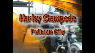 Harley Stampede 2006
