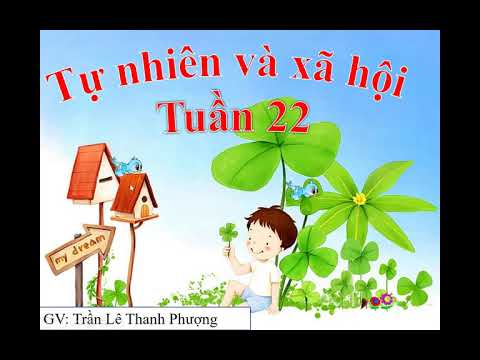 TNXH Bài: Cuộc sống xung quanh Tuần 22 Lớp 2