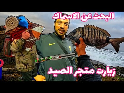 زيارت متجر الصيد عين السبع والبحت عن الاسماك شرغو