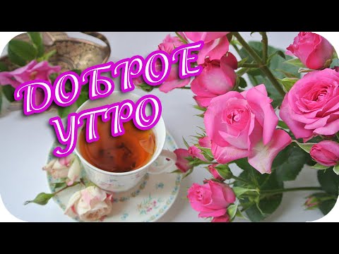 Доброе утро! ❤️ Пусть добрым будет день! ❤️Красивое музыкальное пожелание! ❤️Good morning!