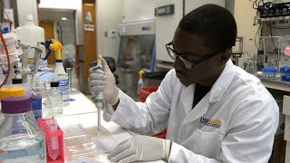 Summer Research in 2025