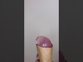 Funny Pei TikTok Videos #shorts #funny #cocomelon