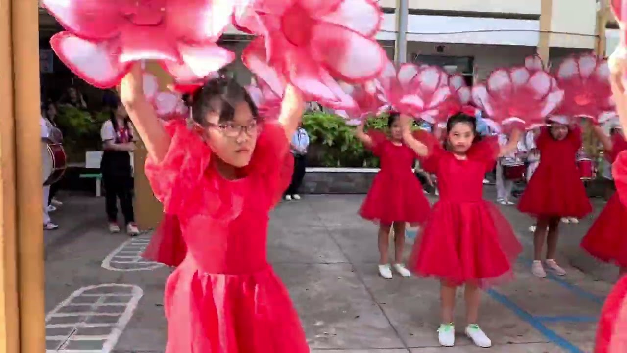 Hội thi Tiếng Kèn Đội Ta năm 2024 - Đội Trống Kèn trường Tiểu học Cao Bá Quát