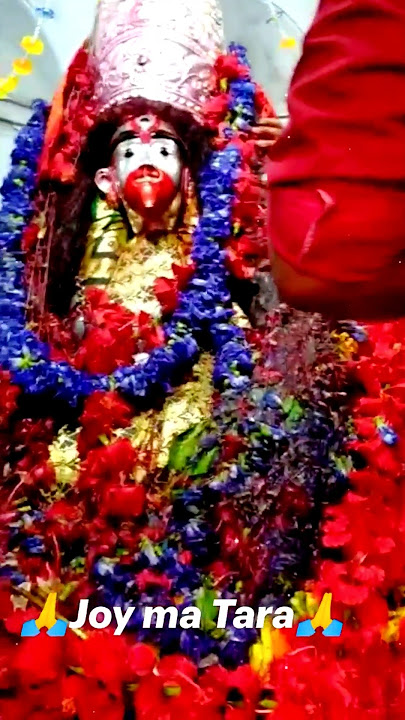 Shyama Maa Tara Maa🥀 Bengali Status Video 🌹 Maa Kali Whatsapp Status 🌸 Kali Puja Special Status