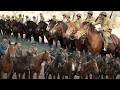 日軍的上萬大軍竟然被我軍的騎兵特戰隊打得全軍覆沒 ⚔️ 抗日  MMA | Kung Fu