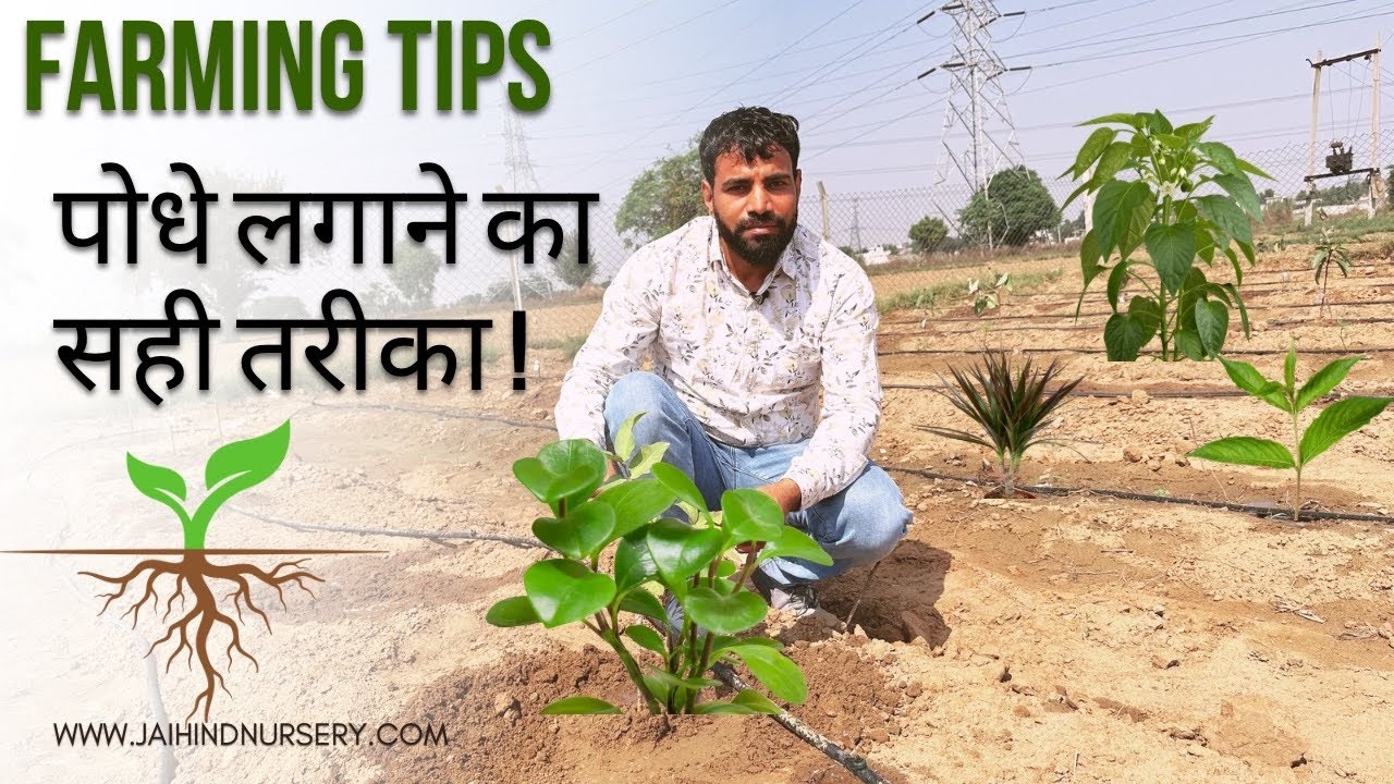 नये बाग-बगीचे लगाने का सही तरीक़ा! किसान ये गलती ना करे! wrong plantation management 😢😥😥😥😨👎🏻