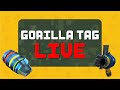 Playing Gorilla Tag with Viewers!