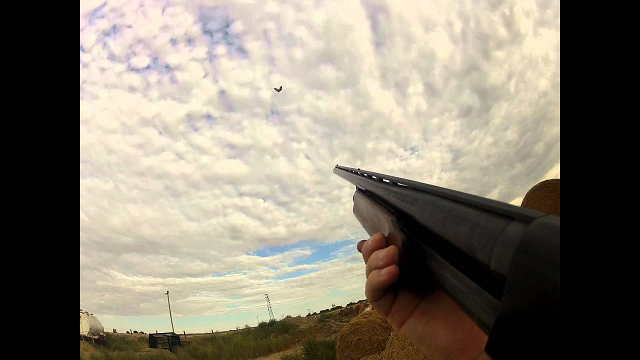 GoPro Dove Hunt 2012