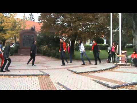Michael Jackson Bad flash mob in Budakeszi, Hungar...