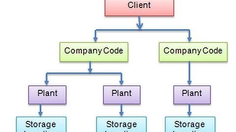 SAP MM Organisational Structure