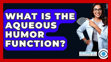 What Is The Aqueous Humor Function? - Optometry Knowledge Base